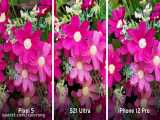 مقایسه دوربین iPhone 12 Pro با Samsung Galaxy S21 Ultra با Google Pixel 5