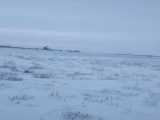 سرمای شدید درقزاقستان همه یخ زدن