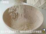 [غذای شیاویینگ] غذای چینی برنج را اینگونه هم میشود پخت برای تنوع بیشتر و از سادگ