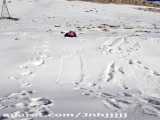 برف بازی من در تاراز فقط نگاه کنید!