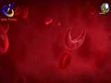 مهم ترین نشانه های ابتلا به کم خونی که باید سریعا درمان شوند!