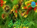 ۱۹۸-خواب آمدنی است