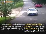 ویدیو ضبط شده از خورده شدن زن توسط ببر