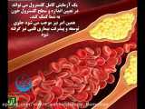 آزمایش کلسترول (Cholesterol)