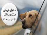 کنترل هیجان سگمون ناشی از دیدار مجدد | امیرعلی میرزایی