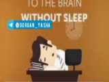تاثير کم خوابی بر روی مغز انسان چیست