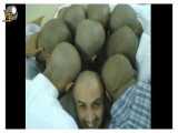 اهنگ شاد و خنده دار