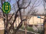سمپاشی زمستانه - رضی آباد شهریار 