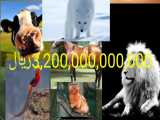 گرانترين 10حيوان جهان