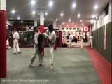 کیوکوشین کاراته - آرش استدآبادی - arash estedabadi