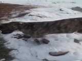 یخ زدن حیوانات از سرما در قزاقستان ( درجه هوا منفی ۵۶ سانتیگراد!)