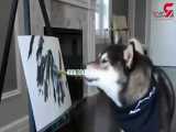نقاشی‌های این سگ صاحبش را پولدار کرد