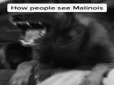 تصور مردم از مالینویز ولی در واقعیت 