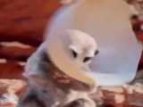مستند خنده دار