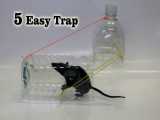 آموزش ساخت 5 تله موش ساده و عالی در خانه
