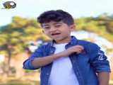 فیلم خنده دار کچلیگ
