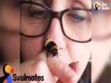 زنبور عسلی که با یک دختر دوست شده | (دودو 47)