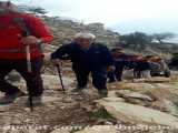 گروه کوهپیمایی قشقایی۹۹،۱۲،۹ غار شاپور کازرون
