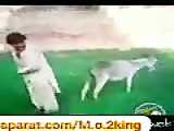 فیلم‌خنده‌دار
