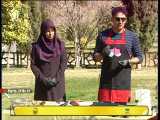 آموزش پخت   استیک مرغ و گوشت   - شیراز