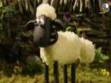 کارتون شاول گوسفند زبل