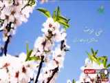 نماهنگ «معجزه بهار» با صدای مجید اخشابی