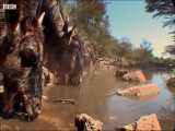 شکار گوزن یالدار توسط تمساح ها/Documentary/الوثائقية/مستند/ از شبکه BBC
