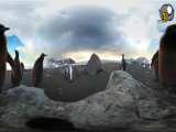 نزدیک ترین فاصله به پنگوئن ها را با این ویدیوی 360 درجه تجربه کنید