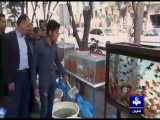 تولید ماهی درکاشان به انداره نصف جمعیت ایران