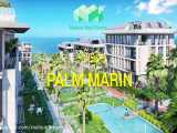 پروژه palm marin