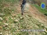 کاشت نهال و بذر در منطقه قلعه شاذاب دزفول