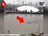 ۲ ویدیوی واقعی از هیولای غول‌پیکر رودخانه تیمز،لندن (شکار دوربین _ قسمت ۵۹)