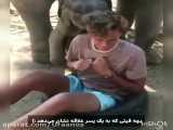 علاقه بچه فیل به انسان