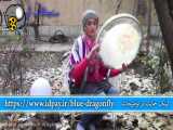 موسیقی سنتی و اصیل ایرانی - دف نوازی با ریتم آهنگ یا رسول الله - تکنوازی دف