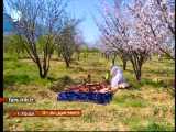 ترانه زیبای   عیدانه   با لهجه شیرین لری و صدای آقای عباس محمدی - شیراز
