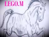 طراحی من از اسب (۲) (LEGO.M)