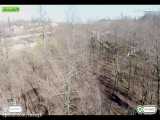 فروش سه قطعه زمین 217 متری جنگلی در نشتارود کد ملک: 698