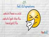 A Cold and the Flu and Their Symptoms 