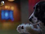 فیلم  گربه‌ها و سگ‌ها: پنجه‌های متحد دوبله فارسی Cats & Dogs 3: Paws Unite 2020
