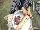 فیلم آموزش پخت پخت ماهی کپور با سبزیجات