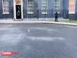 حمله ناموفق یک گربه به کبوتر در مقابل دفتر نخست وزیر انگلیس !!!