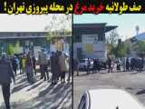 صف طولانی خرید مرغ در محله پیروزی تهران