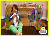 ساخت خانه کارتنی برای بچه گربه | دنیای رایان (قسمت 901)