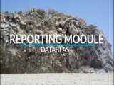 آشنایی با ماژول گزارش و تحلیل Datamine DataBlast