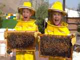 دیاناشو - دیانا و روما و زنبور عسل - سفرخانوادگی سرگرم کننده