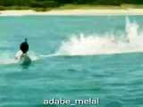 شکار شناگر استرالیایی توسط کوسه سفید