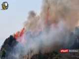 آتش سوزی در جنگل های هند