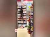 حمله مارمولک غول پیکر به فروشگاه