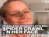 راه رفتن عنکبوت روی صورت یک زن
