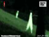 ۲ ویدیوی واقعی ترسناک از موجودات وحشتناکی بنام شبگردها در کالیفرنیا (شکار دوربین _ قسمت ۵۳) 